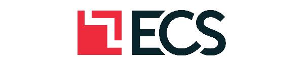 ECS FEDERAL LLC